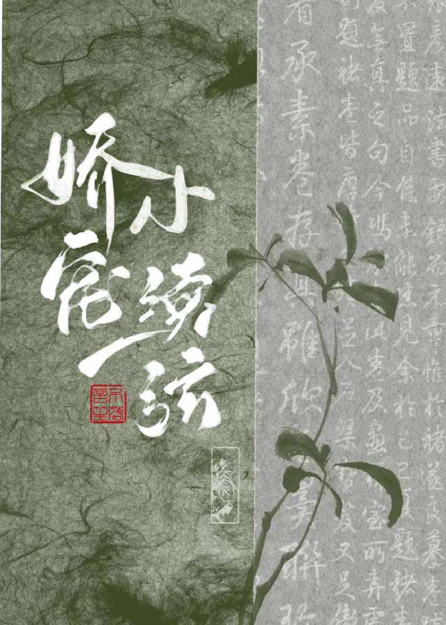 世子小夫人笨蛋日常