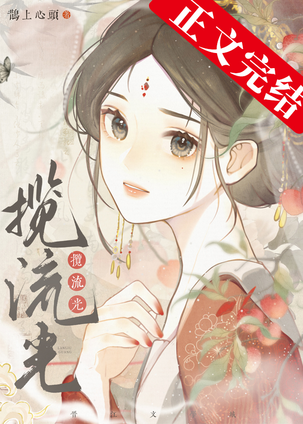 揽流光