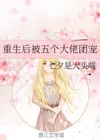 大佬们的豪门小乖乖