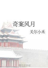 奇案风月